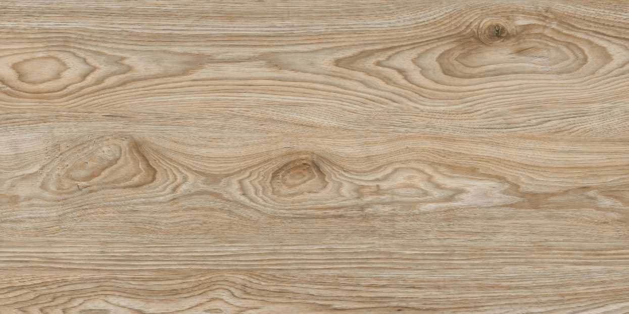 Quercia Long 016-4 from Quercia Long