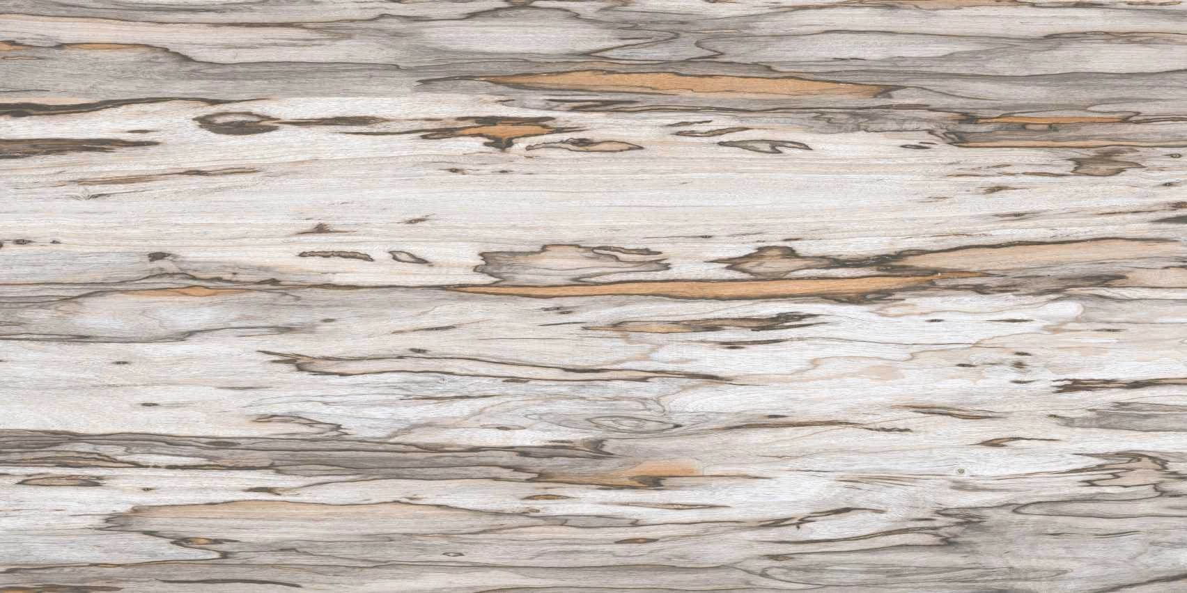 Quercia Long 053-2 from Quercia Long