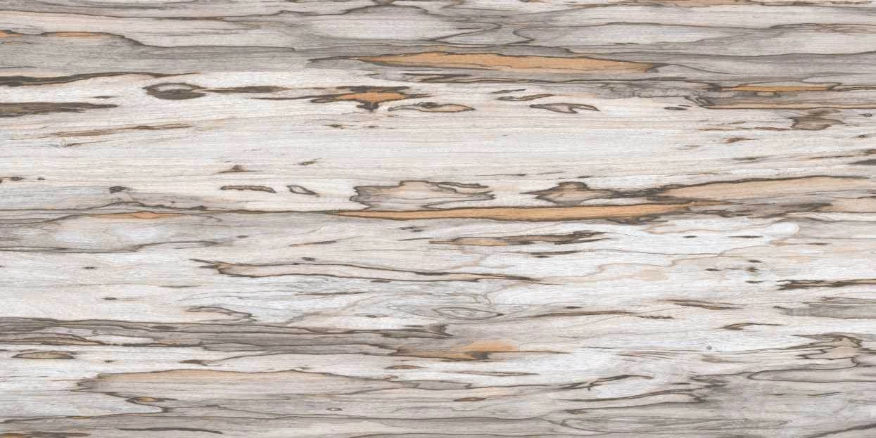 Quercia Long 054-3 from Quercia Long