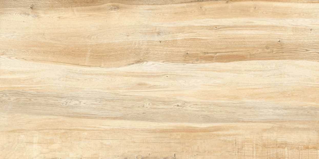 Quercia Long 062-5 from Quercia Long