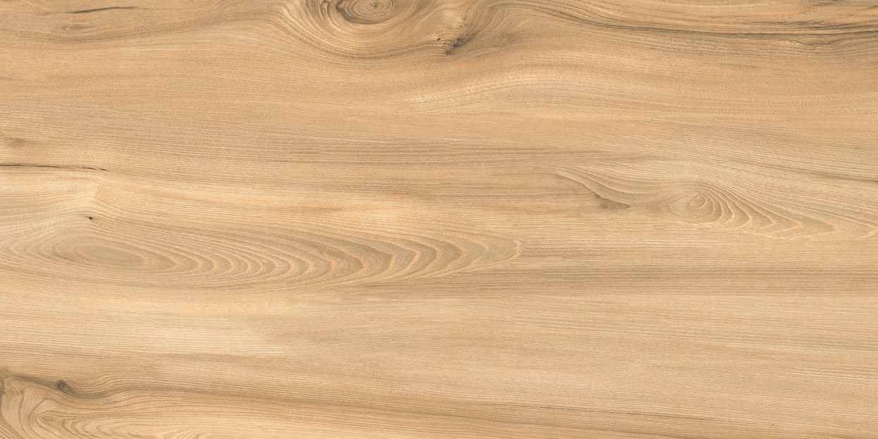 Quercia Long 108-3 from Quercia Long