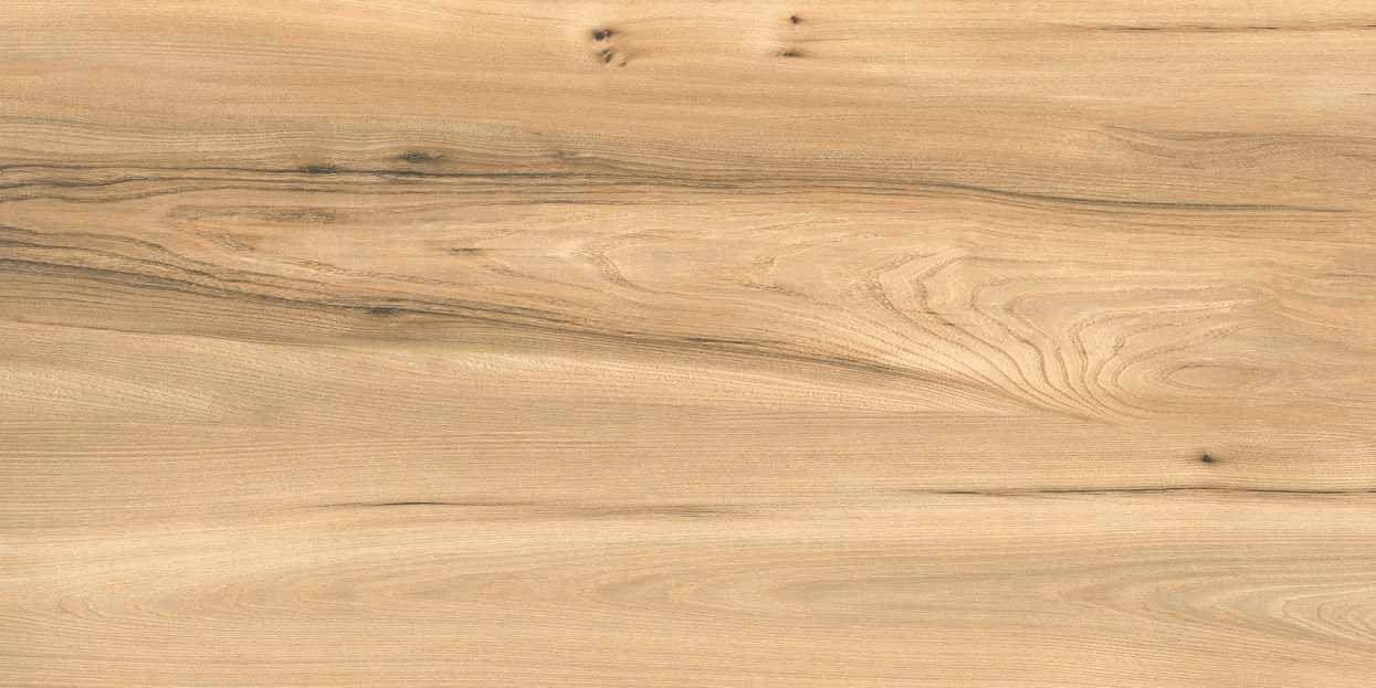 Quercia Long 109-4 from Quercia Long