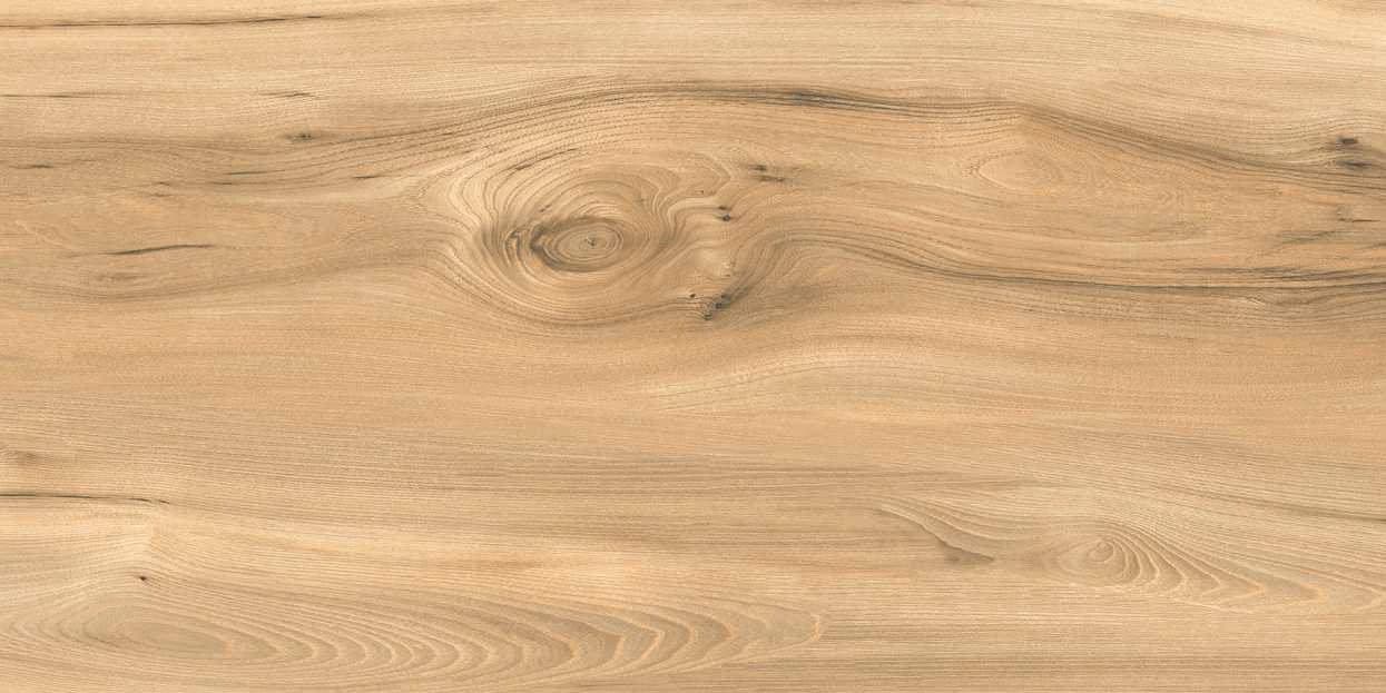 Quercia Long 110-5 from Quercia Long