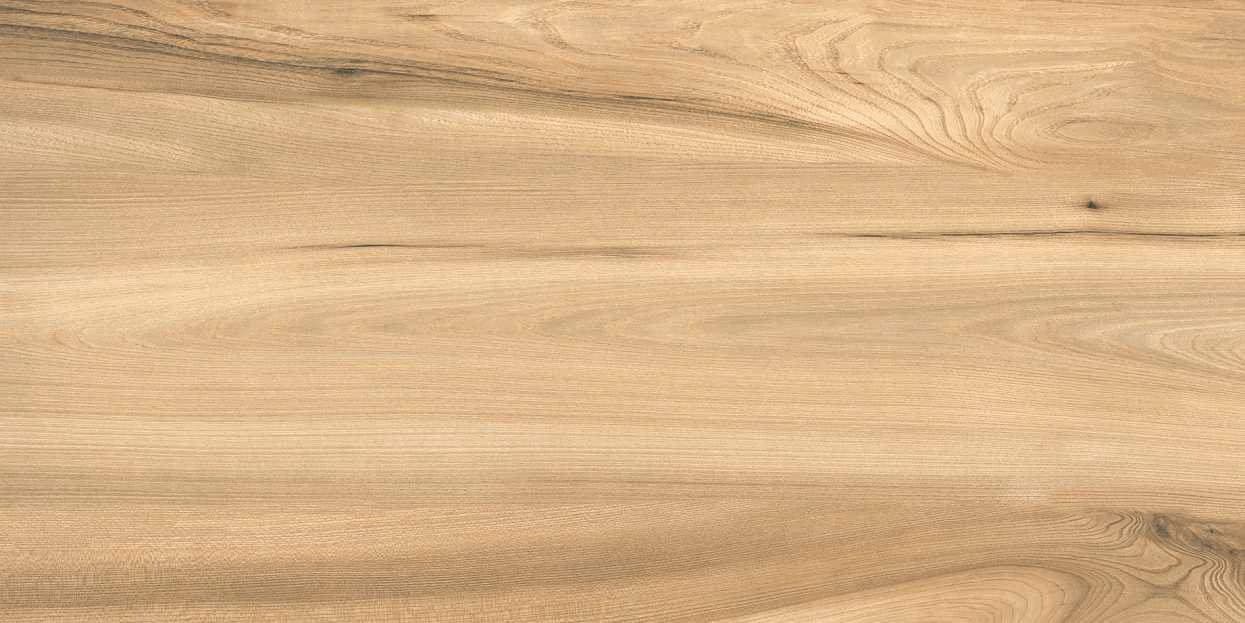 Quercia Long 111-6 from Quercia Long
