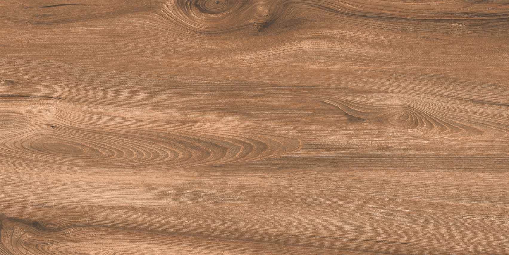 Quercia Long 112-1 from Quercia Long