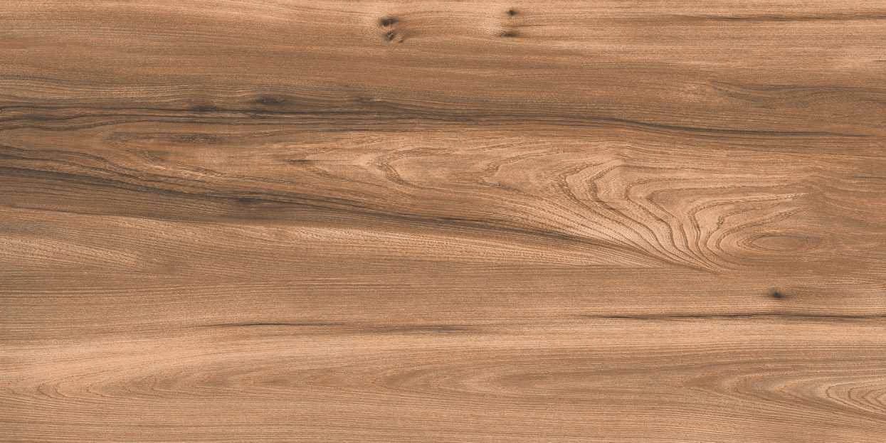 Quercia Long 114-3 from Quercia Long