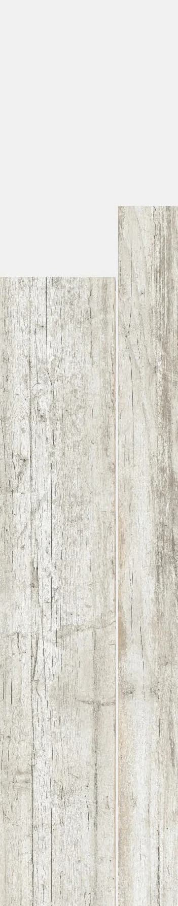 Silvara Plank 011 from Silvara Plank