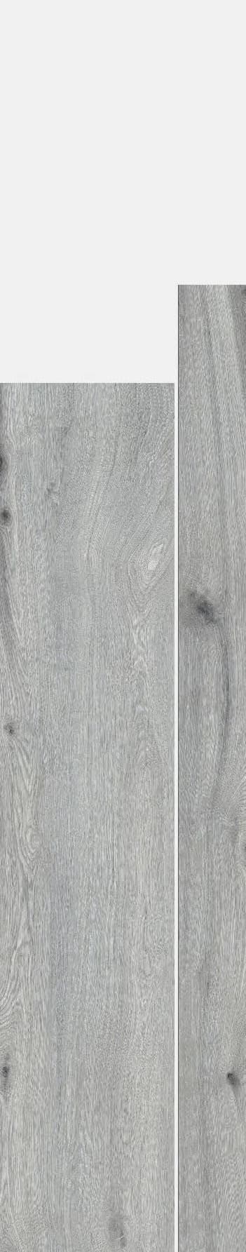 Silvara Plank 031 from Silvara Plank